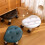 Low Stool with Pulley
Portable Circular Stool 5