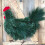 Christmas Rooster Chicken Wreath Artificial Rustic Christmas Wreath 4