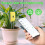 Tuya Smart Bluetooth Bodemtester Temperatuur- en Vochtigheidsmeter 6