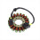 Statorspole / Stator til CBR1000RR 2004-2007 4
