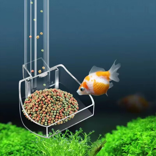 Multifunctional Large Capacity Feeder Aquarium 2