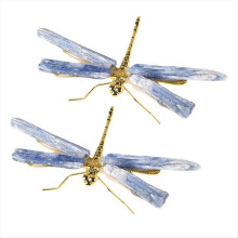 Kyanite Libelle Beeldje Kristal Steen Ambachten A