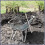 Manure Fork Replacement Head, Pitchfork Head, Horse Manure Rake, B 4