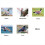 Mirror Reflective Bird Repellent Upgraded Bird Scare Discs Set 4