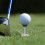 Tee de golf nou, modernizat, cu set de șei de golf reglabile pe înălțime 7