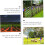 Solar Warning Light PIR Motion Sensor ABS Plastic Shell Outdoor Induction Distance Days Of Continuous Power 4