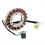 5GH-81410-00-00 Ny statorspole för motorcykelgenerator 1