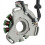 2GU-85510-50-00 Generatorstatorspole til Banshee 3