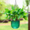Pacote com 2 vasos de flores suspensos com autoirrigação para ambientes internos, 6,5 polegadas, cor esmeralda 6