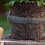 Plant Root Guard Baskets 6 Pcs Root Guard Wire Basket Cages 6