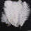 10 stuks witte natuurlijke struisvogel 20-25 cm bruiloft DIY 2