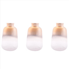Nordic Electroplated Flower Vases for Home Decor(9X14cm)