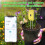 Tuya Smart Bluetooth Bodemtester Temperatuur- en Vochtigheidsmeter 5