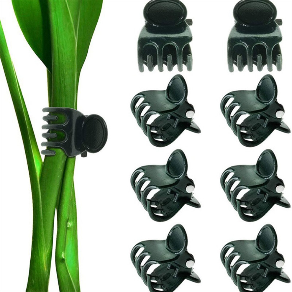 Large Size Garden Plant Clips Support Orchid Stem Clip 4714273546863