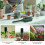 Zigbee Tuya Soil Tester Sunlight Temp Moisture Meter 6