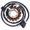 Statorspole til Grizzly 700 YFM700FG 4WD 1