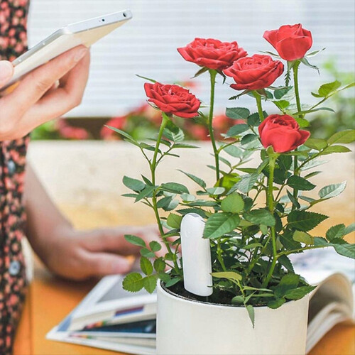 Bloem- en plantenbodemvruchtbaarheidstester voor APP Wit 1