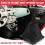 Hand Speed Ball Gear Shift Dust Cover For Black Frame 5