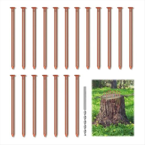 25Pcs Copper Nails,3.14 In Long Pure Copper Nails Bulk with Drill Bit 1