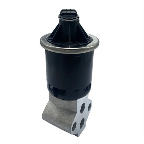D4G15-1207010 EGR-ventilenhet för 2