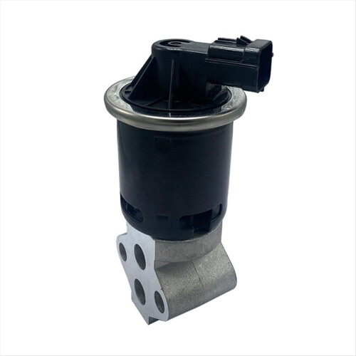 D4G15-1207010 EGR-ventilenhet för 1