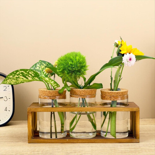 Σταθμός πολλαπλασιασμού, Terrarium γυάλινων φυτών για κοπή φυτών, διακόσμηση σπιτιού 1