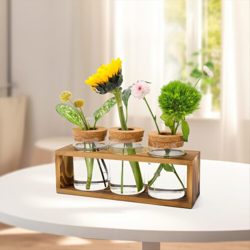 Σταθμός πολλαπλασιασμού, Terrarium γυάλινων φυτών για κοπή φυτών, διακόσμηση σπιτιού 2