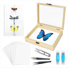 Kit de ferramentas para fabricação de espécimes de insetos, exibição de coleção de espécimes de insetos
