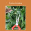 Garden Pruning Shears Potted Branches Scissors Fruit Picking Tools 4