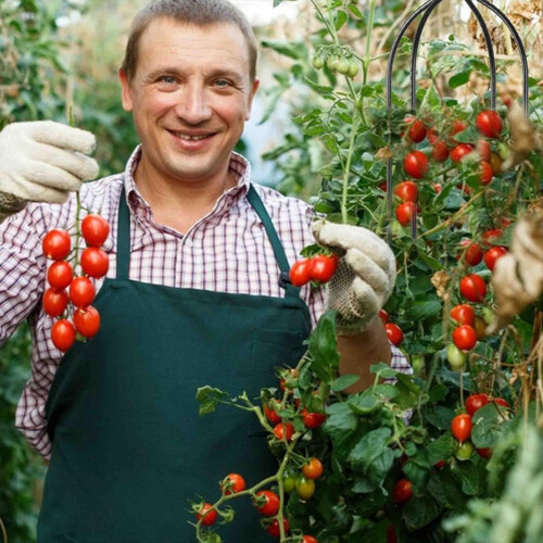 Πλέγμα Οβελίσκου για Αναρριχώμενα Φυτά, Πλέγμα Κήπου 2 τεμάχια (B) 1