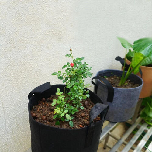Graue, strapazierfähige Stofftöpfe, Pflanzbeutel für Gemüse/Blumen/Pflanzen 2