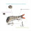 Vislokmiddelen Topwater voor forel Levensechte visaccessoires 6
