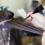 16 Pieces Hair Dye Coloring Kit 3