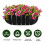 3 peças de forros de feltro para vasos de plantas, forros de tecido para caixas de janela de 30 polegadas 4