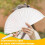 E-Plain Pure Wood Folding Fan Classical Dance Performances Hand Fan 4