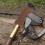 Hiking Pole Handle Cork Trekking Pole Grip 5