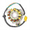 2GU-85510-50-00 Generatorstatorspole til Banshee 2