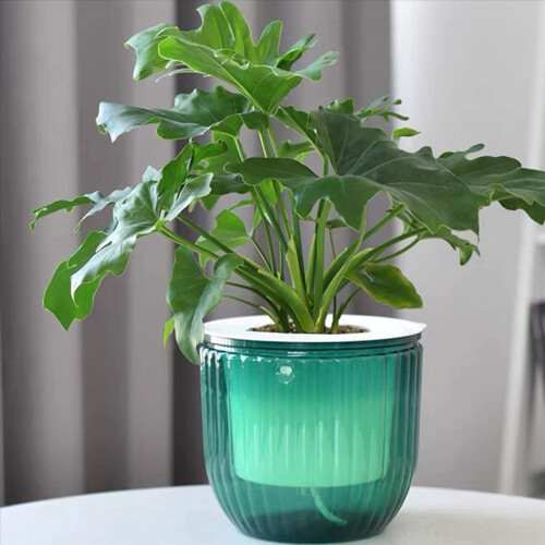 Pacote com 2 vasos de flores suspensos com autoirrigação para ambientes internos, 6,5 polegadas, cor esmeralda 2