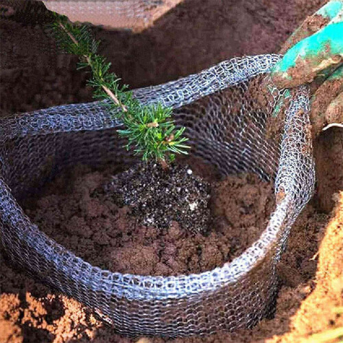 Plant Root Guard Baskets 6 Pcs Root Guard Wire Basket Cages 2