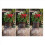 Plant Root Guard Baskets 6 Pcs Root Guard Wire Basket Cages 4