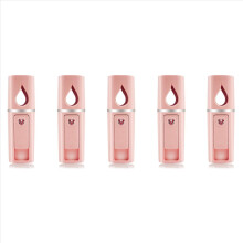 Przenośny Nano Mister Mini Steamer Atomization Pink