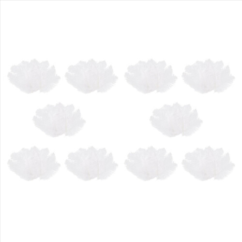 10 stuks witte natuurlijke struisvogel 20-25 cm bruiloft DIY