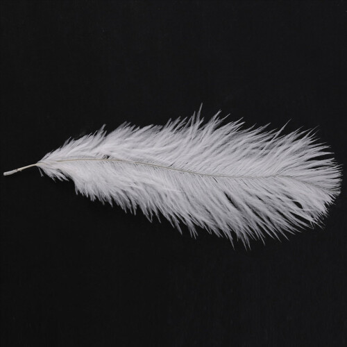 10 stuks witte natuurlijke struisvogel 20-25 cm bruiloft DIY 2