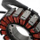 Alternator Stator Coil 855680 855181 855011 for RXV 6