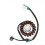 Alternator Stator Coil 855680 855181 855011 for RXV 5