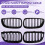 Automobile Double Line Grills Front Bumper Racing Grill for 5