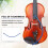 Violin Moisturizer, Sound Hole Moisturizer, Maintenance Tools, Blue 6
