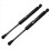 2Pcs Car Rear Trunk Lift Supports for 5