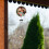 Sublimation Wind Spinner Blanks Outdoor Decor, with 4 Thickened Tubes 5