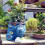 Cute for Indoor Outdoor Plants, Resin Cactus Planter,B 6